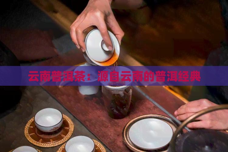 云南普洱茶：源自云南的普洱经典