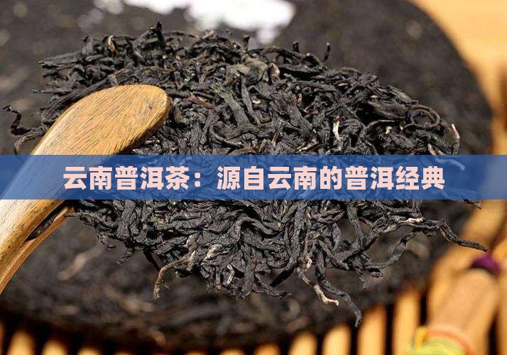 云南普洱茶：源自云南的普洱经典