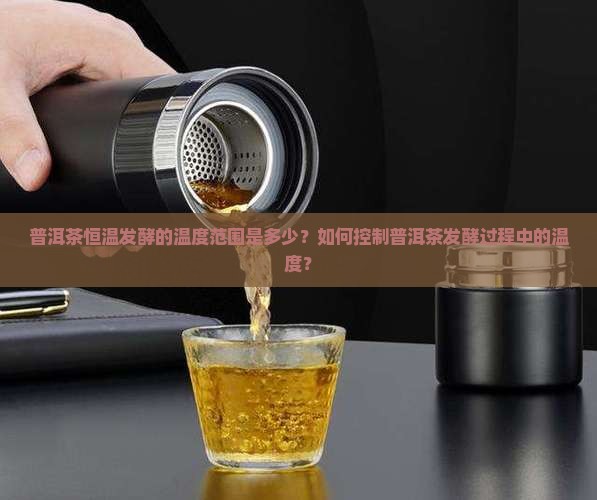 普洱茶恒温发酵的温度范围是多少？如何控制普洱茶发酵过程中的温度？