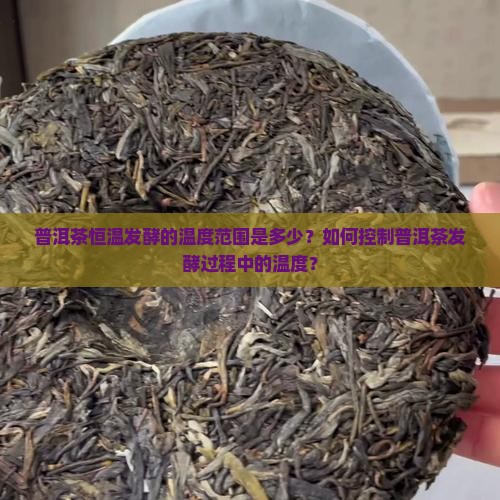 普洱茶恒温发酵的温度范围是多少？如何控制普洱茶发酵过程中的温度？