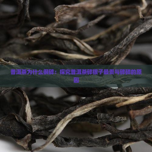 普洱茶为什么很碎：探究普洱茶碎银子最贵与碎碎的原因