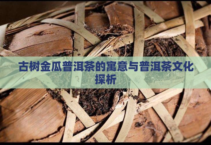 古树金瓜普洱茶的寓意与普洱茶文化探析