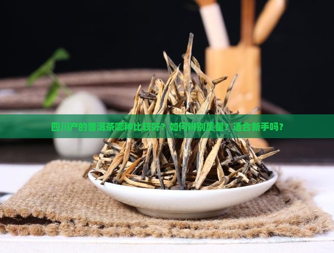 四川产的普洱茶哪种比较好？如何辨别质量？适合新手吗？