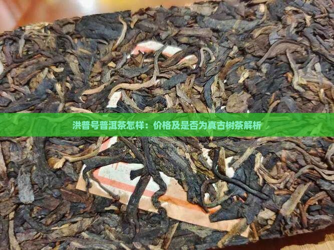 洪普号普洱茶怎样：价格及是否为真古树茶解析