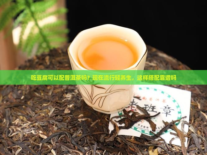 吃豆腐可以配普洱茶吗？现在流行轻养生，这样搭配靠谱吗