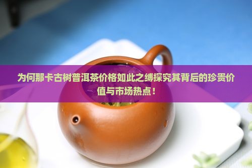 为何那卡古树普洱茶价格如此之缚探究其背后的珍贵价值与市场热点！