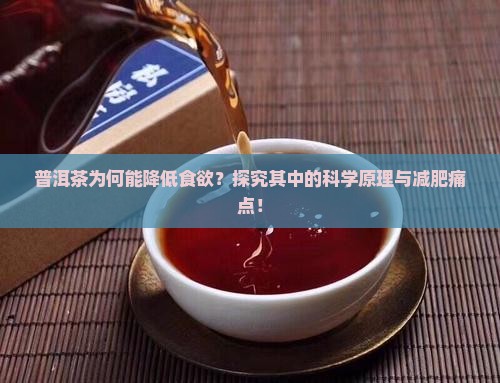 普洱茶为何能降低食欲？探究其中的科学原理与减肥痛点！