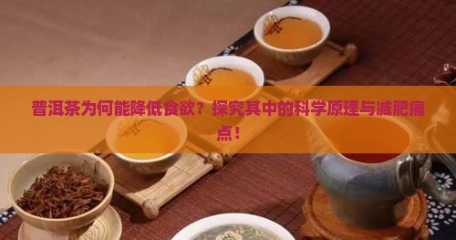 普洱茶为何能降低食欲？探究其中的科学原理与减肥痛点！