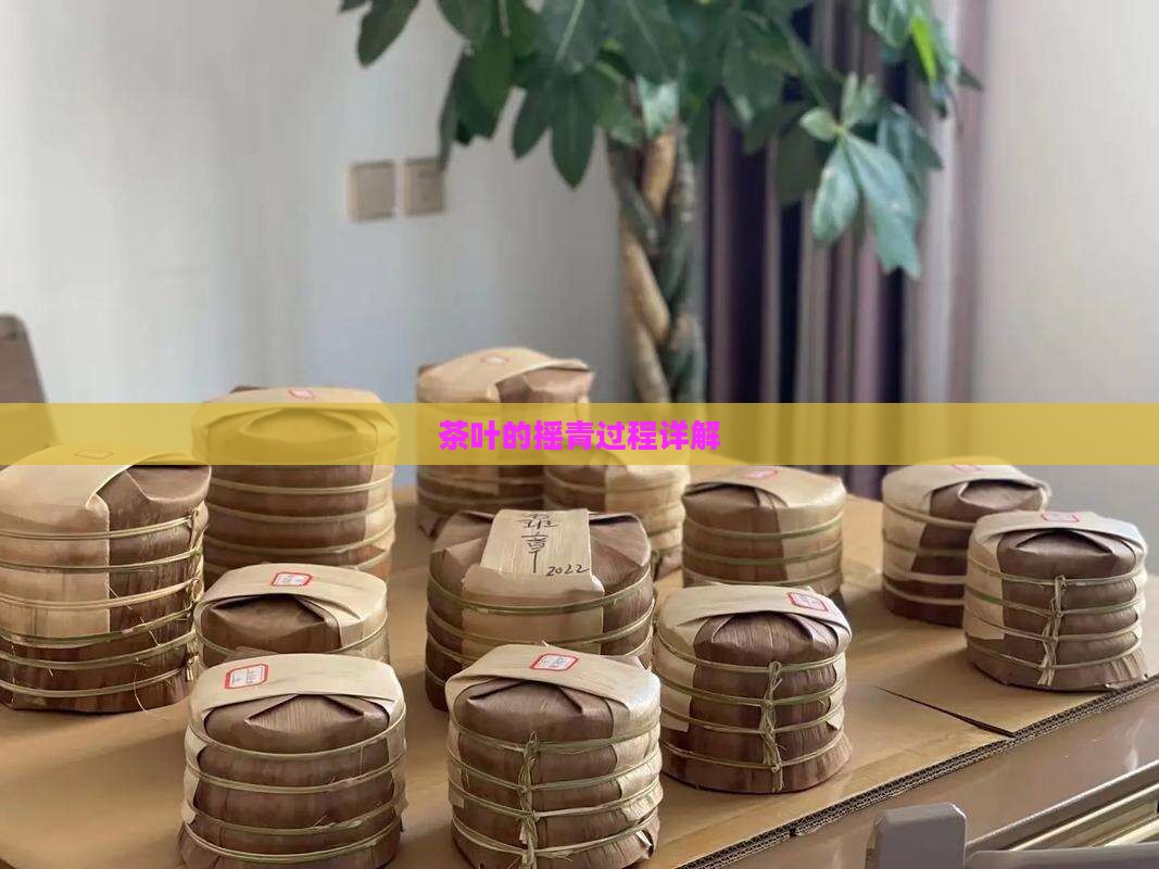茶叶的摇青过程详解