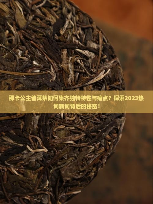 那卡公主普洱茶如何集齐独特特性与痛点？探索2023热词新词背后的秘密！