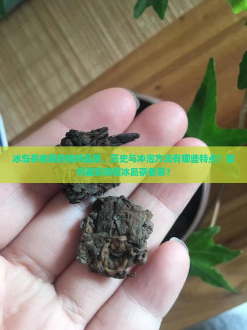 冰岛茶老寨的独特品质、历史与冲泡方法有哪些特点？如何鉴别真假冰岛茶老寨？