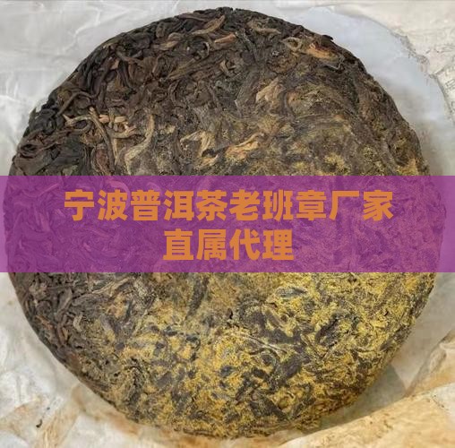 宁波普洱茶老班章厂家直属代理