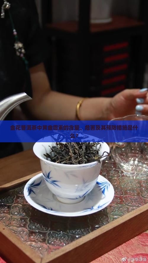 金花普洱茶中黄曲霉素的含量、危害及其预防措施是什么？