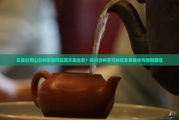 云县白莺山古树茶如何实现天龙生态？探讨古树茶可持续发展痛点与创新路径
