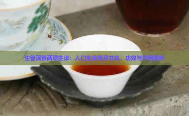 生普洱茶两腮生津：入口生津苦尽甘来，功效与作用解析