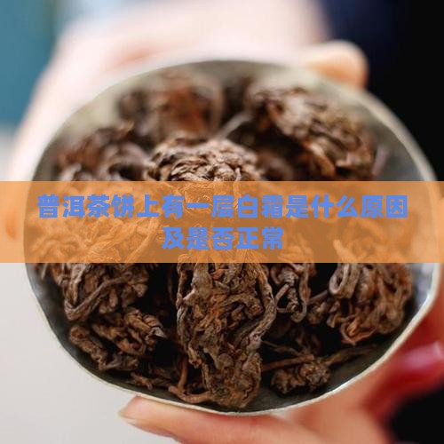 普洱茶饼上有一层白霜是什么原因及是否正常