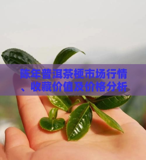陈年普洱茶梗市场行情、收藏价值及价格分析