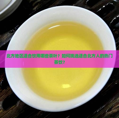 北方地区适合饮用哪些茶叶？如何挑选适合北方人的热门茶饮？