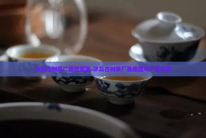 冰岛古树茶广场在哪里-冰岛古树茶厂及地理与产区详解