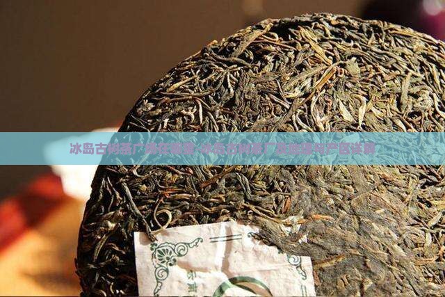 冰岛古树茶广场在哪里-冰岛古树茶厂及地理与产区详解
