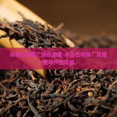 冰岛古树茶广场在哪里-冰岛古树茶厂及地理与产区详解