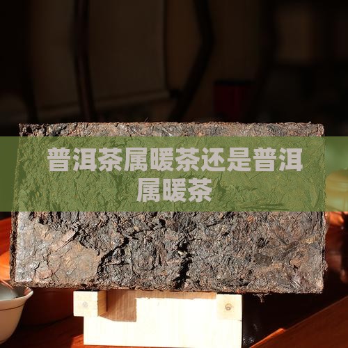 普洱茶属暖茶还是普洱属暖茶