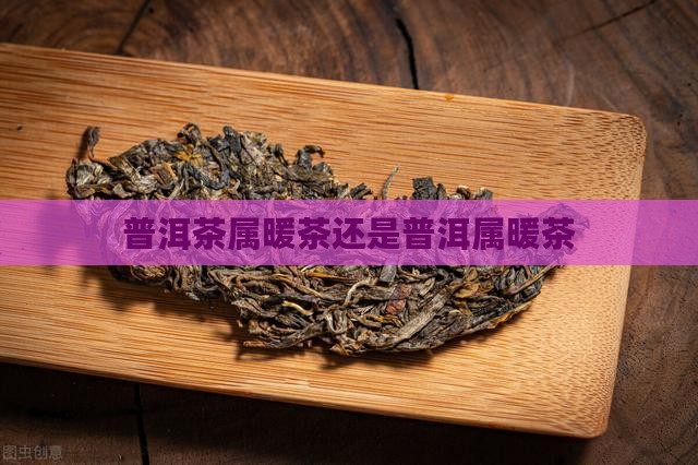 普洱茶属暖茶还是普洱属暖茶