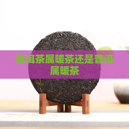 普洱茶属暖茶还是普洱属暖茶