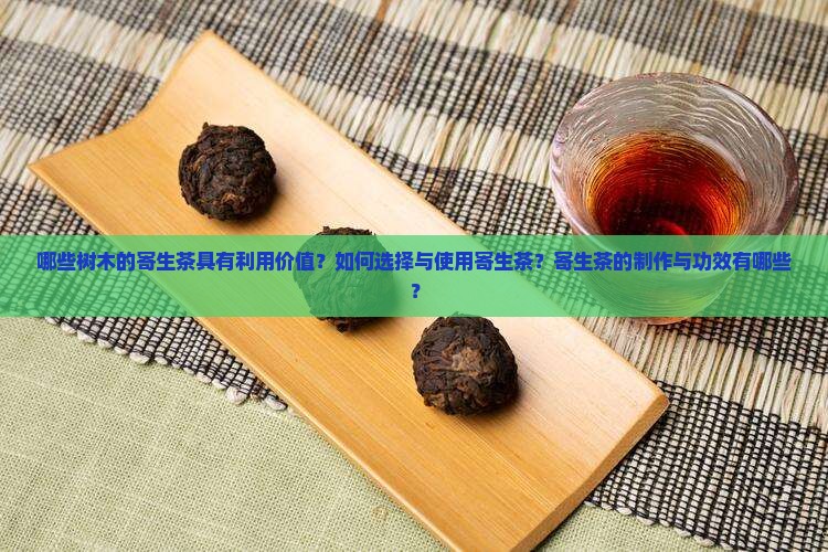 哪些树木的寄生茶具有利用价值？如何选择与使用寄生茶？寄生茶的制作与功效有哪些？