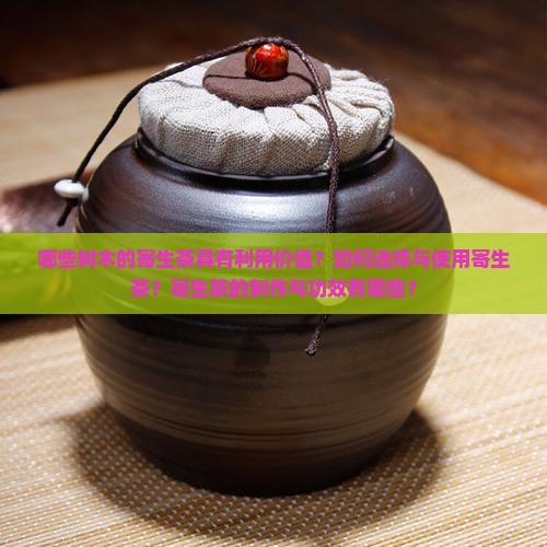 哪些树木的寄生茶具有利用价值？如何选择与使用寄生茶？寄生茶的制作与功效有哪些？