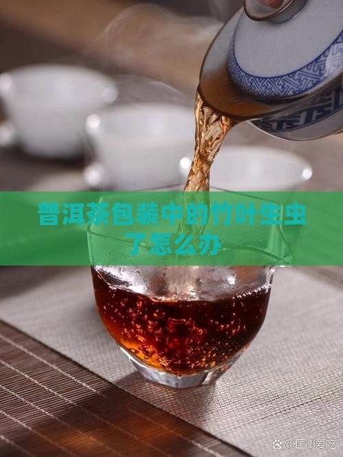 普洱茶包装中的竹叶生虫了怎么办