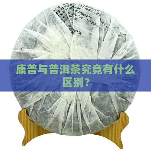 康普与普洱茶究竟有什么区别？