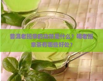 普洱老班章的功效是什么？喝老班章茶有哪些好处？