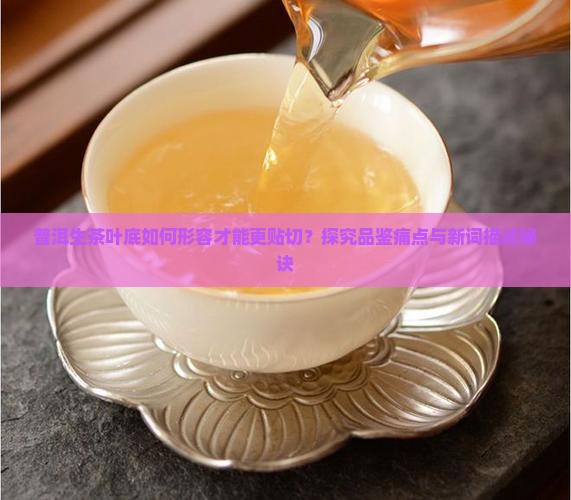 普洱生茶叶底如何形容才能更贴切？探究品鉴痛点与新词描述秘诀