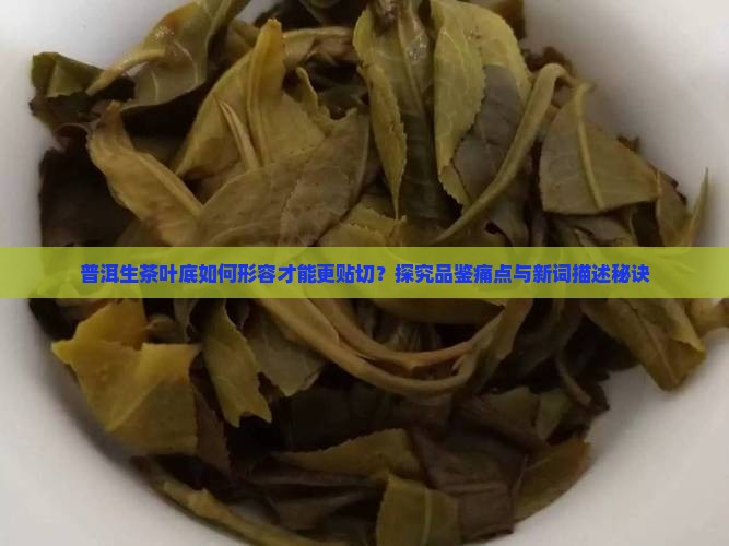 普洱生茶叶底如何形容才能更贴切？探究品鉴痛点与新词描述秘诀