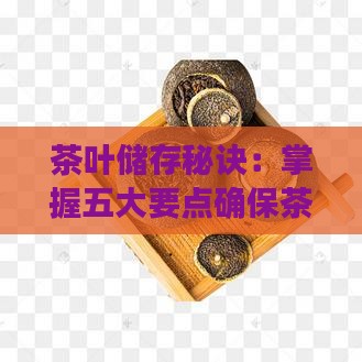 茶叶储存秘诀：掌握五大要点确保茶叶品质