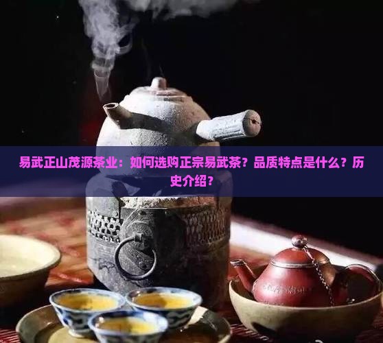 易武正山茂源茶业：如何选购正宗易武茶？品质特点是什么？历史介绍？