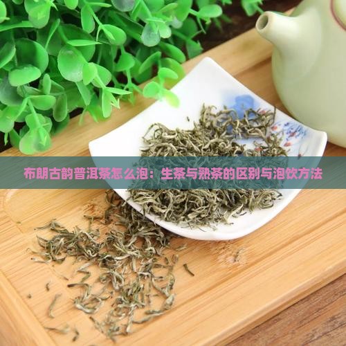 布朗古韵普洱茶怎么泡：生茶与熟茶的区别与泡饮方法