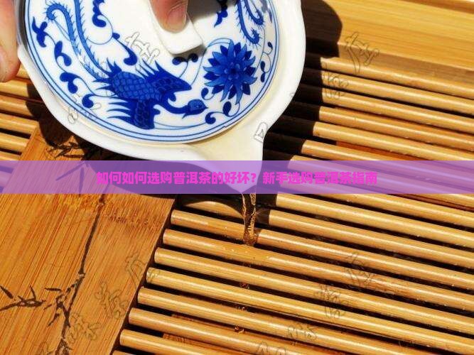如何如何选购普洱茶的好坏？新手选购普洱茶指南