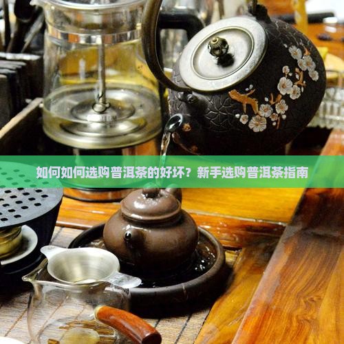 如何如何选购普洱茶的好坏？新手选购普洱茶指南