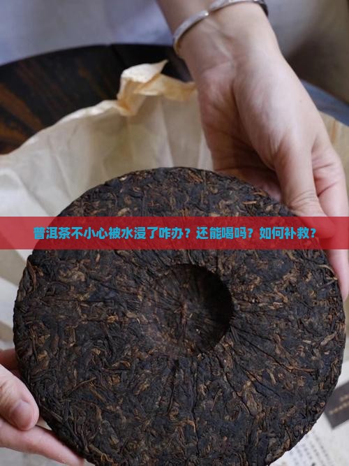 普洱茶不小心被水浸了咋办？还能喝吗？如何补救？
