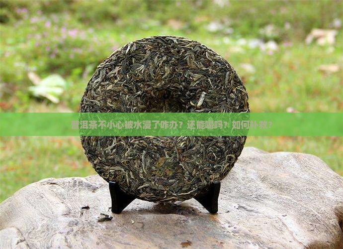 普洱茶不小心被水浸了咋办？还能喝吗？如何补救？