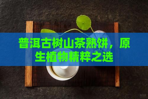 普洱古树山茶熟饼，原生植物精粹之选