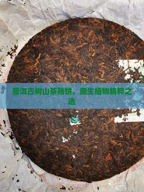 普洱古树山茶熟饼，原生植物精粹之选