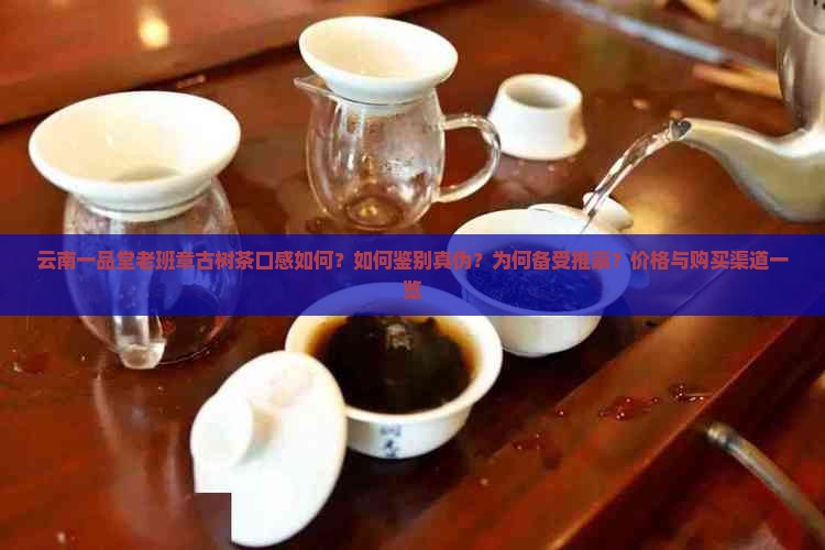 云南一品堂老班章古树茶口感如何？如何鉴别真伪？为何备受推崇？价格与购买渠道一览