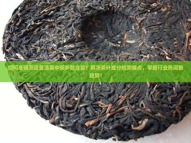 如何准确测定普洱茶中茶多酚含量？解决茶叶成分检测痛点，掌握行业热词新趋势！