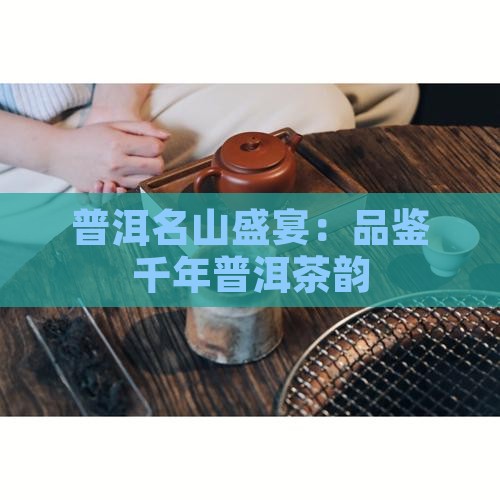普洱名山盛宴：品鉴千年普洱茶韵