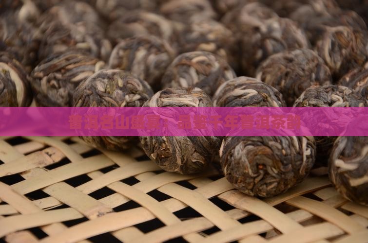 普洱名山盛宴：品鉴千年普洱茶韵