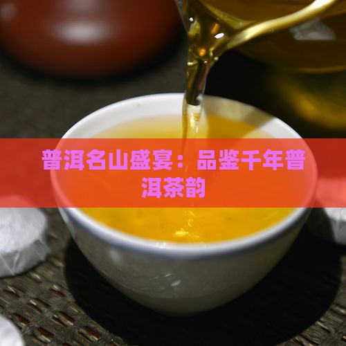 普洱名山盛宴：品鉴千年普洱茶韵