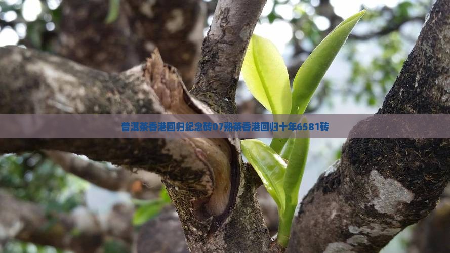 普洱茶香港回归纪念砖07熟茶香港回归十年6581砖